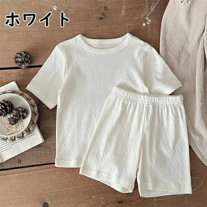 y500~N[|2480~zLbY pW} _uK[[ 100% WjA [EFA ㉺Zbg  Rbg S M L   Ƃ肱 ێN[ iCgEFA   Ԃ邾 