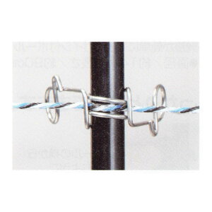 dq FRPxptbN w14mmtbNx10 (i 312) (dC d Qb^[V[Y)