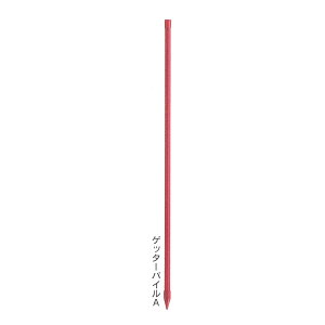 dq 햌|ǎx wQb^[pCAx10{ (i 204) (dC d Qb^[V[Y)