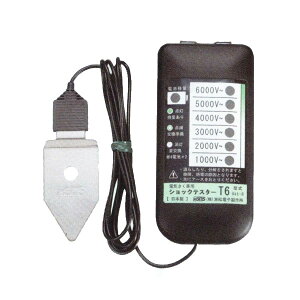 dq dCpd wVbNeX^[T6xGst-6 (i 607) (dC d Qb^[V[Y)
