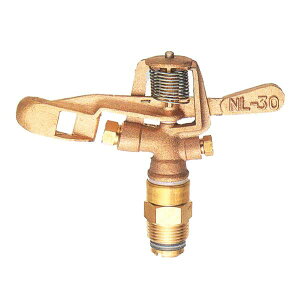 _݌ɗL^ NAGATA ic쏊 XvN[ wNL-30xpx p S] (U | Ő ʎ Ɩp)