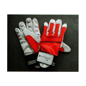 TCWFh ƃO[u wUfbNXx (`F[\[)