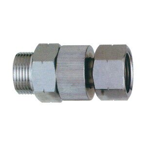 NAGATA ic쏊 w͕p߂ 19߂()xlWKi:G3/4 (i 2402700) (h )