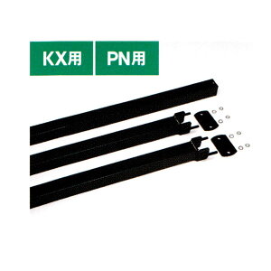 TAISHO ^CV[ ܁E܎Uz@ KXEPNp IvViwt PN-B50x (HKvł)