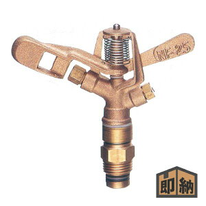 _݌ɗL^ NAGATA ic쏊 XvN[ wNF-25xሳp S] (U | Ő ʎ Ɩp)