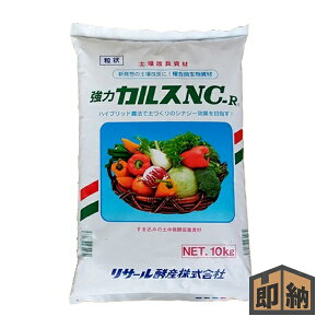 _݌ɗL^ T[yY yǎ w JX NC-R 10kgx (ll1_)