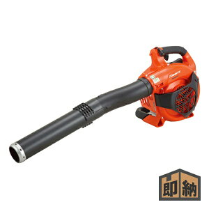 _݌ɗL^ KIORITZ  nfB[u wPB260DXx (uA u[  ܂т p[u GW)