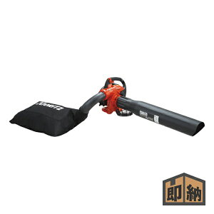 _݌ɗL^ KIORITZ  nfB[u wPBV256x (uA u[  ܂т p[u GW)