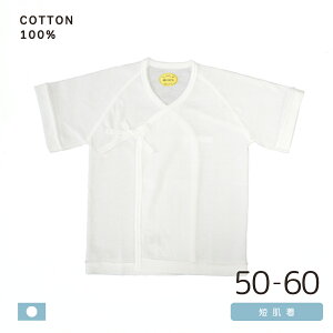  xr[ Z Pi1 { 100% TCY 50`60cm V Ԃ Ci[ oY މ@ OJ OD 