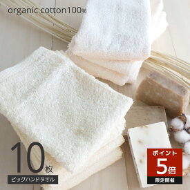 オーガニックコットン ビック ハンドタオル 10枚 綿100 34×34cm オーガニック コットン100% 10枚セット キナリ シンプル 無地 10 セット サステナブル 肌に優しい 薄手 大きめハンドタオル 130匁 まとめ買い 送料無料
