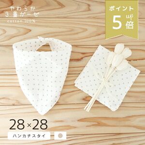 XP5{ 炩 3dK[[ X^C & nJ` / hbg Iׂ 2g { 100% TCY 28×28cm V j̎q ̎q I[V[Y t  H ~ oY މ@ 