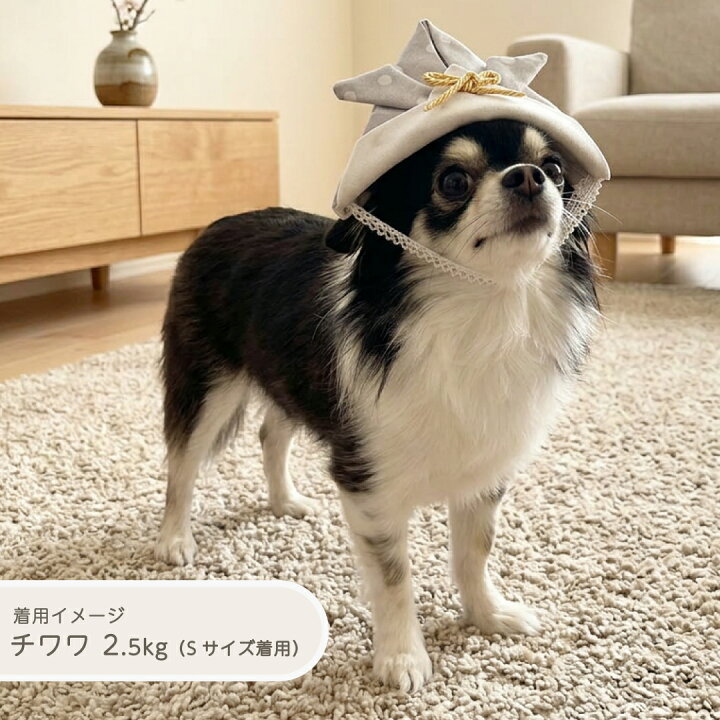 楽天市場】犬 猫 兜 帽子 被り物 ペット用 兜帽子 こどもの日 端午の 