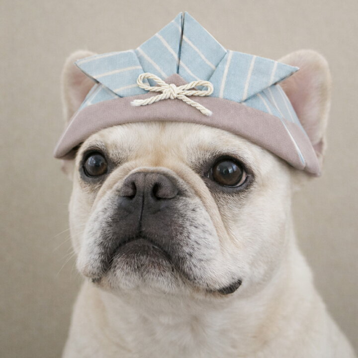 楽天市場】犬 猫 兜 帽子 被り物 ペット用 兜帽子 こどもの日 端午の 