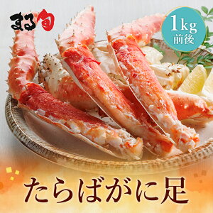 {^oKj{C1kgOi1j@I  L  r Jj kC CN CY C̍K I  i Ⓚ  O  蕨 Mtg v[g  