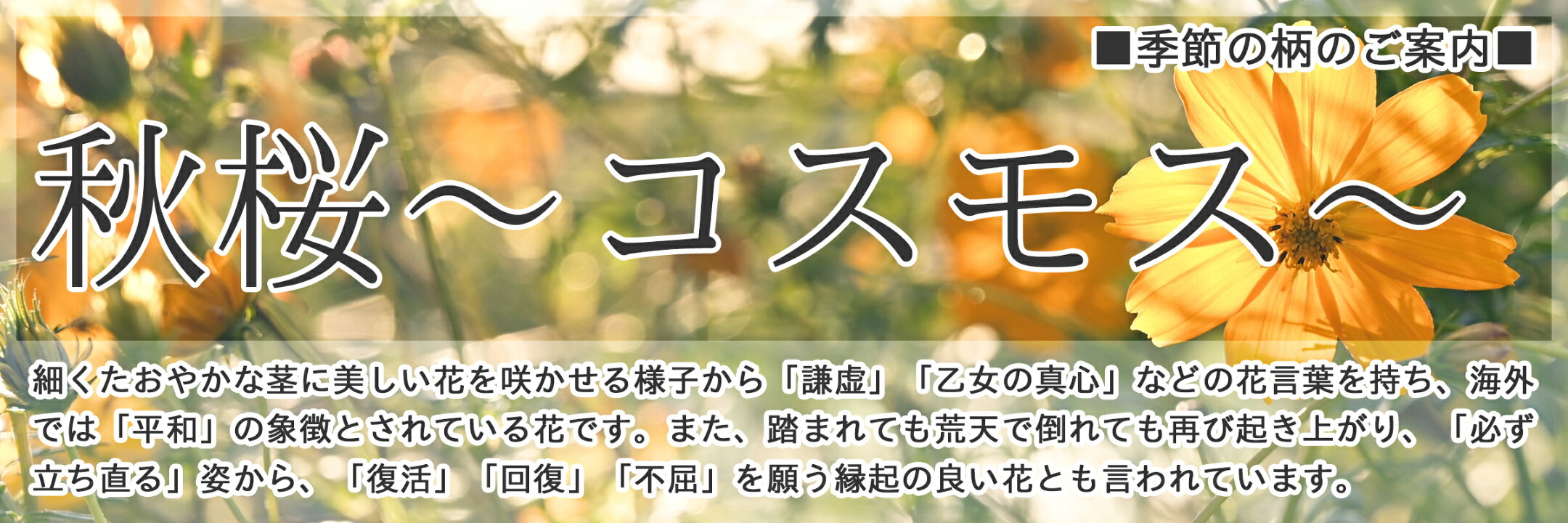 【印傳屋の季節柄】細い茎に美しい花を咲かせる様子から「謙虚」などの花言葉を持ち、海外では「平和」の象徴とされ、倒れても再び起き上がり「必ず立ち直る」姿から「復活」「回復」を願う縁起花｜＜甲州印伝 印傳屋 上原勇七 正規取扱店＞丸島商事インターネット事業部