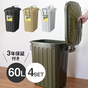 60l スリム ダストボックス 分別 ゴミ箱 ごみ箱 通販 価格比較 価格 Com