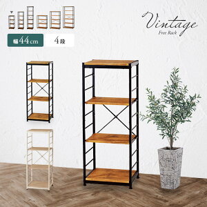 [r[T]Be[W I[vbN 44cm 4i X RpNg Ԏ[  VFt ؖ ؐ X`[r I߉\ {I fBXvC re[W k V