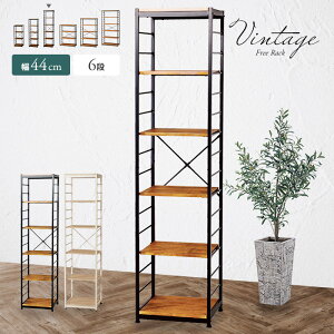 [r[T]Be[W I[vbN 44cm 6i X RpNg Ԏ[  VFt ؖ ؐ X`[r I߉\ {I fBXvC k re[W V