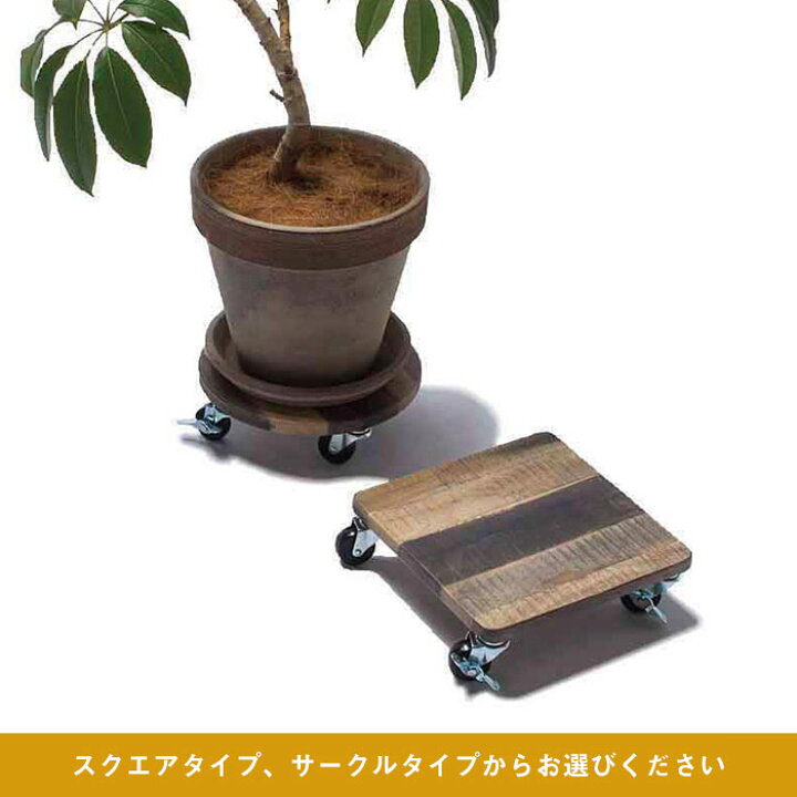 楽天市場】[レビュー特典付き]キャスター付き木製プランター台 鉢台 鉢 