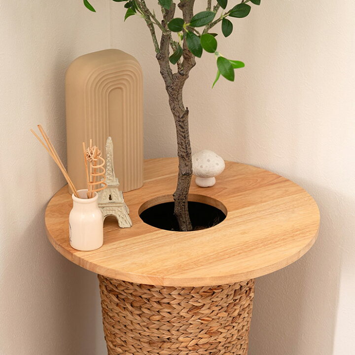 ☆植木☆植木鉢もターンテーブルつき☆