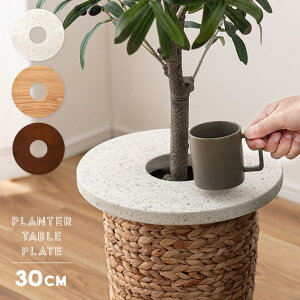 y󂠂AEgbgiAzCĝ݁zv^[e[u v[g30cm vge[u v^[Jo[ EbhT[NgC yB }`O ؐ 嗝Εe][ ϗtA