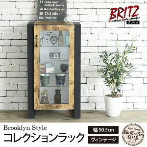 RNV{[h RNVP[X RNV[ RNVbN WP[X KXI wʃ~[ؖڒ uE KXP[X  jO Be[W  O