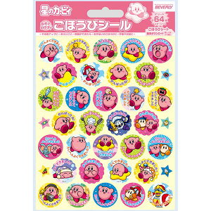 ̃J[rB قуV[ SL-256 ro[