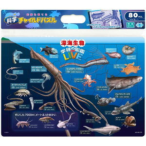 e[ `ChpY MC-80-759 [C} w̐} LIVE