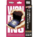 手品 ワンダリングボックス テンヨー マジック