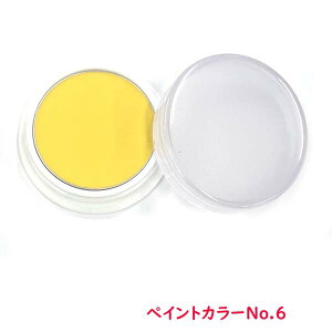 ����p���C�N �y�C���g�J���[ No6 ���䉮