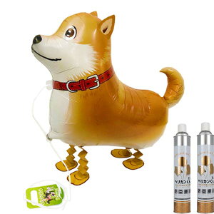 Uo[ Č yVzwJN2{t S.A.G. GA[EH[J[ SAG