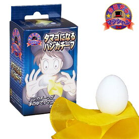 今日からマジシャン タマゴになるハンカチーフBV DPグループU3832 マジック 手品