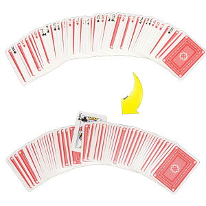 gCAt DPO[v D0995 i J[h}WbN