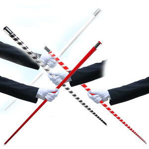 AsAOP[EJ[^Cv DPO[v i }WbN oXebL