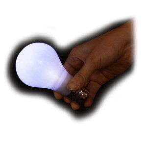 VE@̓d DPO[v E5613 p[eB[I}WbNV[ dŌH