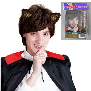 �I�I�J�~�̎� �ۑy �T�̎�