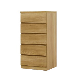 y120ACez 50 5i s44 N[[bg `FXg ^X [ ߗގ[  [ o  I[N EH[ibg d  \y ˂ X ߑP[X k i 