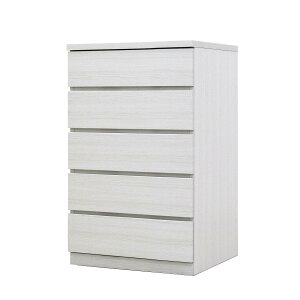 y120ACez 60 5i s55 N[[bg `FXg ^X [ ߗގ[  [ o  I[N EH[ibg d  \y ˂ X ߑP[X k i 