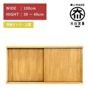 m^X XCh [h[u u 100(39cm?49cm) zCgI[N  ؐ  Ƌ ۓc؍H ~NX Minx