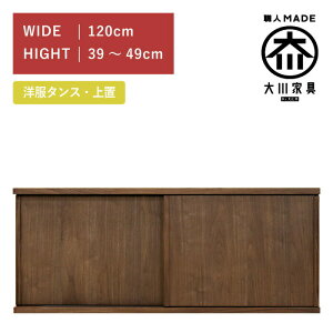 洋服タンス スライド ワードローブ 上置き 幅120(高さ39cm?49cm) ウォールナット 板扉 木製 桐 大川家具 丸田木工 ミンクス Minx