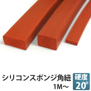 VRX|W pq 10x10 [gP1m` 50M pR pЂ 10×10
