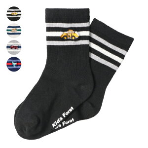 q Kids Foret (LbYtH[) ԁEhJN[\bNXEC 14cm 15cm 16cm 17cm 18cm 19cm 20cm B55301