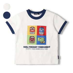 �q���� moujonjon (���[�W�����W����) JR�ݕ��d�Ԕ���T�V���c 90cm�`130cm F32814