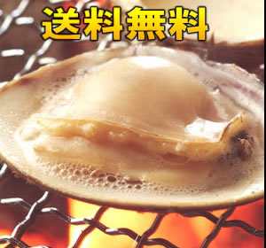 ������̵�������ܤϤޤ���4ǯ���5cm��6cm������Ⱥ(�ϥޥ���)1kg(25γ����)�������Ϥޤ���ϥޥ���Ⱥ�С��٥��塼���������С��٥��塼ľ��