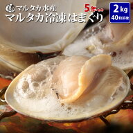 【送料無料】冷凍はまぐり5年もの5cm〜6cmサイズ　500g×4袋入（36〜40粒入）♯貝 はまぐり ハマグリ 蛤 …