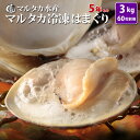 【送料無料】冷凍はまぐり5年もの5cm〜6cmサイズ　500g×6袋入（54〜60粒入）♯貝 はまぐり ハマグリ 蛤 バーベキュー…