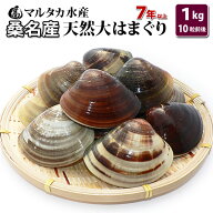 【送料無料】三重県桑名産　天然大はまぐり　7年もの以上蛤(ハマグリ)6cm以上1kg（10粒前後）入♯貝 はま…
