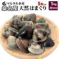 【送料無料】三重県桑名産　天然はまぐり　5年もの蛤（ハマグリ）約5cm〜6cm1kg（20粒前後）入♯貝 はま…