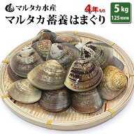 【送料無料】【業務用】大人買い蓄養はまぐり　4年もの5cm〜6cmサイズ蛤(ハマグリ)5kg(125粒前後)入♯貝 …