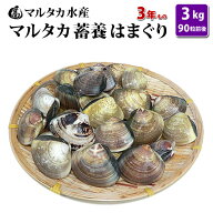 【送料無料】蓄養はまぐり　3年もの4cm〜5cmサイズ蛤(ハマグリ)3kg（90粒前後）入♯貝 はまぐり ハマグリ…